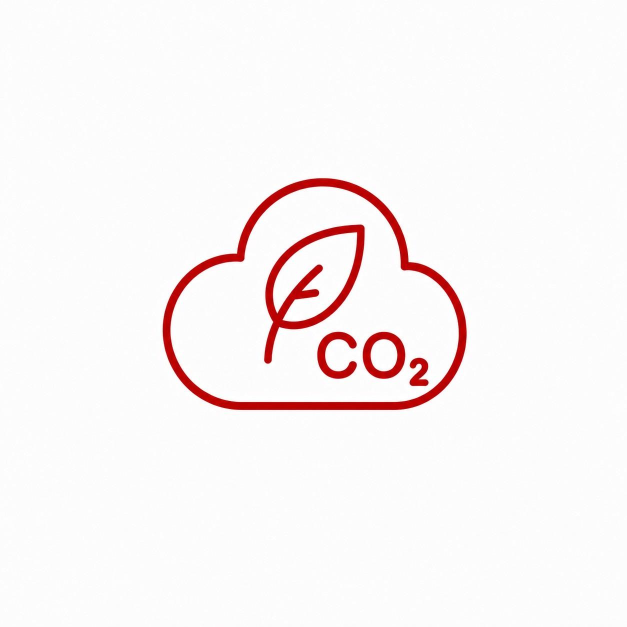 Carbon Management